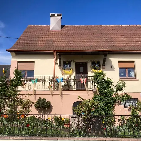 Gite Le Mandle Riquewihr Exterior foto