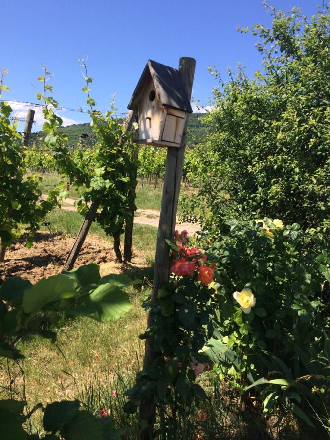 Le Mandle Holiday home Riquewihr
