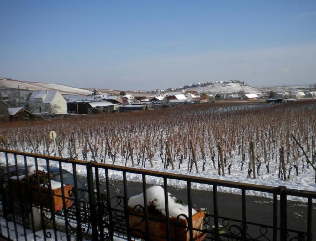 Holiday home Le Mandle Riquewihr